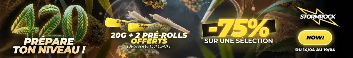 Stormrock Prépare ton niveau