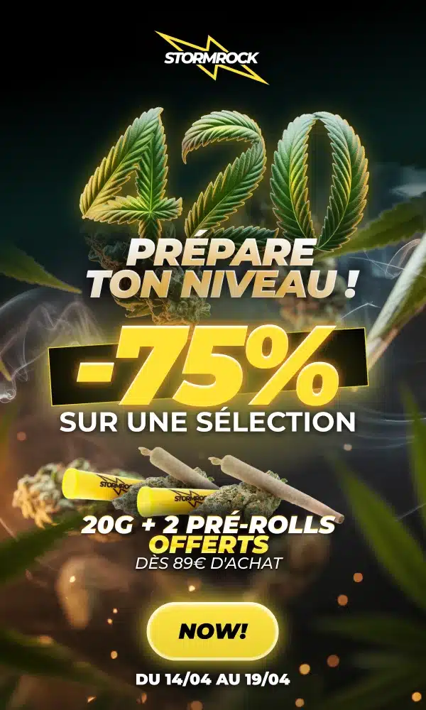 Stormrock Prépare ton niveau