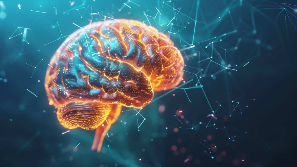 représentation graphique cerveau et connexions de attention et emotions