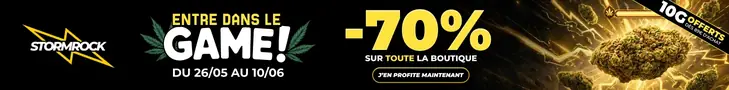 Stormrock, entre dans le game : -70 % sur toute la boutique du 26/05 au 10/06, 10 g offerts