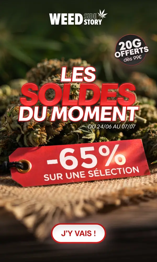 Weed Side Story, les soldes du moment : -65% sur une sélection du 24/06 au 07/07, 20g offerts dès 99€