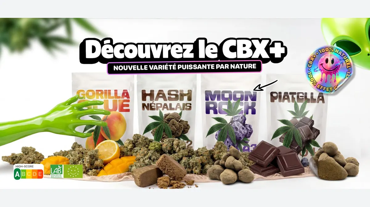 Découvrez le CBX+, nouvelle variété puissante par nature : la gamme Tealerlab au complet