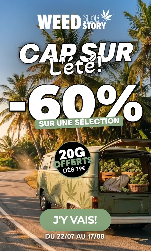 Weed Side Story, cap sur l'été : -60% sur une sélection, 20 g offerts dès 79 €, du 22/07 au 17/08