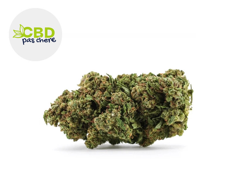 Runtz + CBD+ 32 % Indoor (CBD Pas Chère)