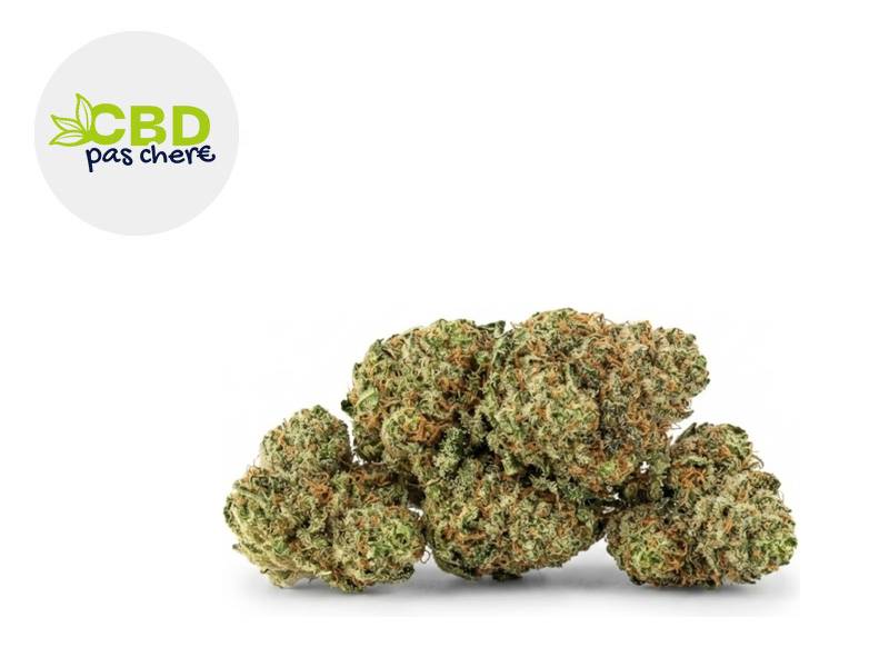 Kush'N'Haze Boost CBD Boost 28 % Indoor (CBD Pas Chère)