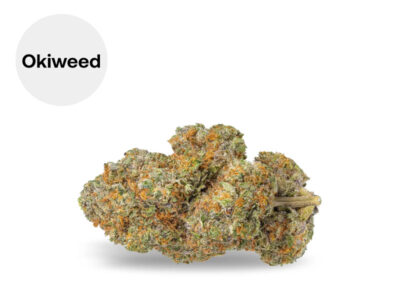 Strawberry Cake + CBD+ 32 % Sous serre (Okiweed)