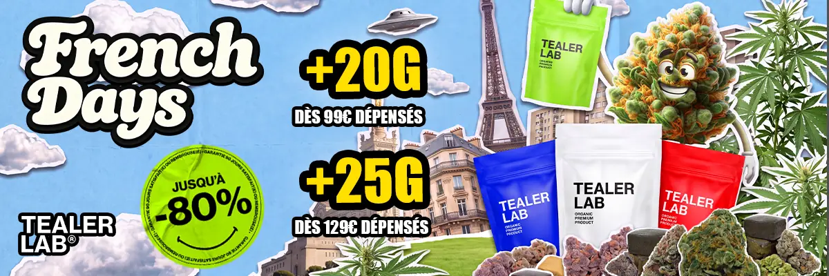 tealerlab french days 80 sur une selection 20 g of 1200x400 1